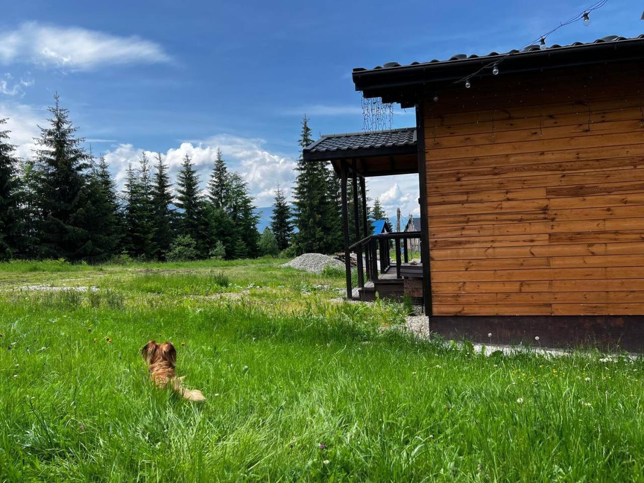 Коттедж Для Отдыха Дискавери Yablunytsya Exterior foto