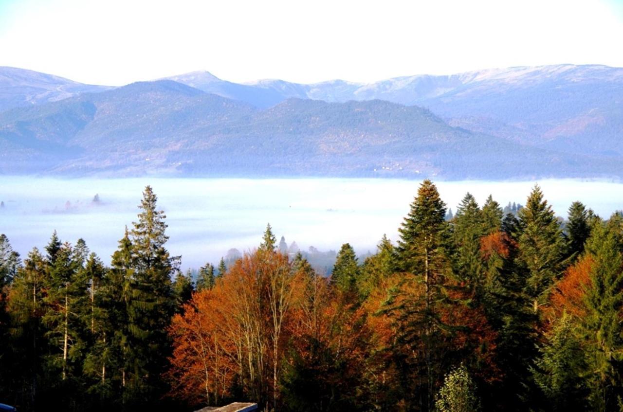 Коттедж Для Отдыха Дискавери Yablunytsya Exterior foto